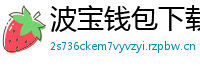 波宝钱包下载